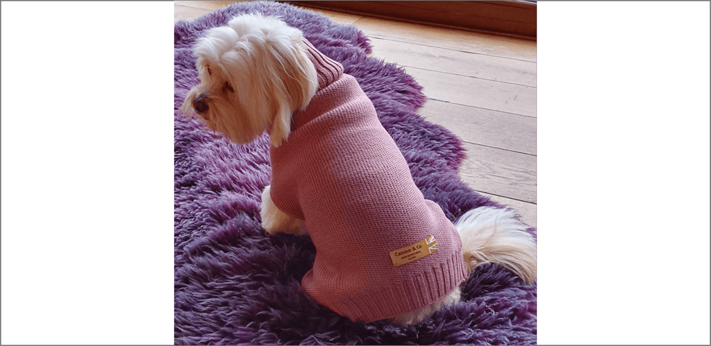 The Charlie Dog Jumper - Canine-and-Co-Dog-Jumpers