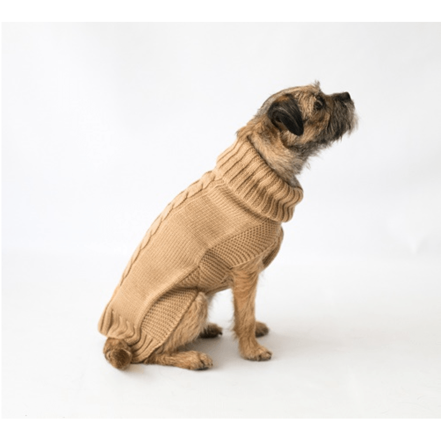 The Jazz Dog Jumper in Camel - Canine-and-Co-Dog-Jumpers