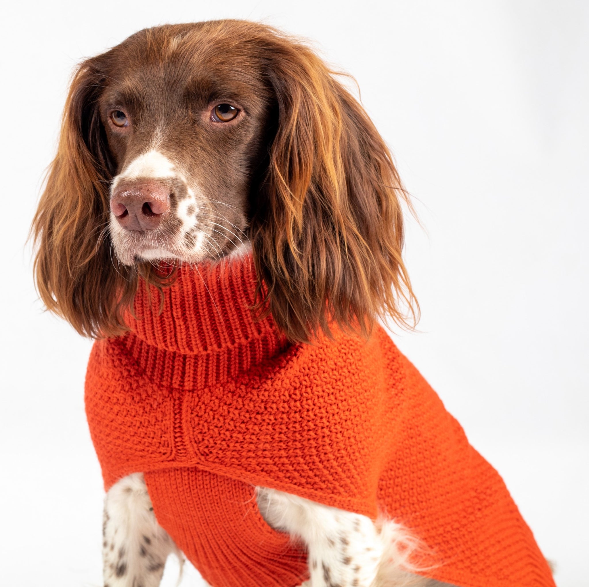 Canine Co The Ultimate Dog Shop Canine and Co Dog Jumpers