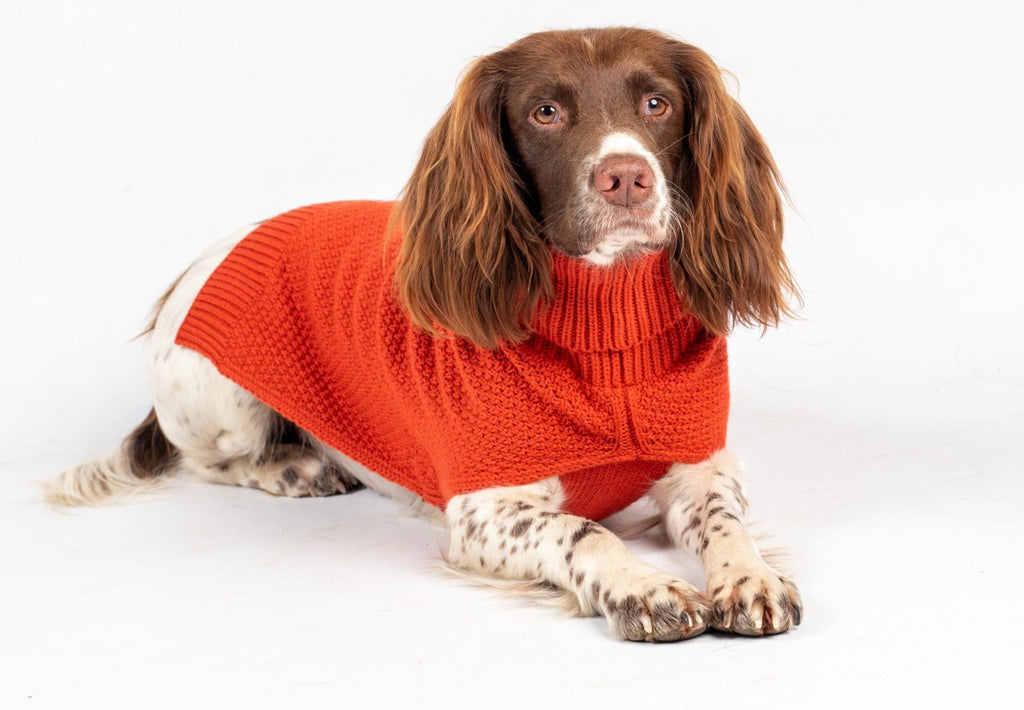 The Jamie Dog Jumper in Burnt Orange - Canine-and-Co-Dog-Jumpers
