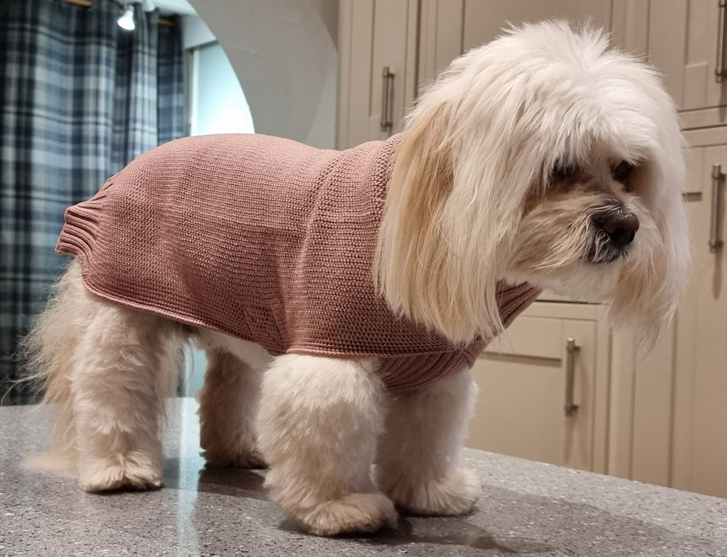 The Charlie Dog Jumper - Canine-and-Co-Dog-Jumpers