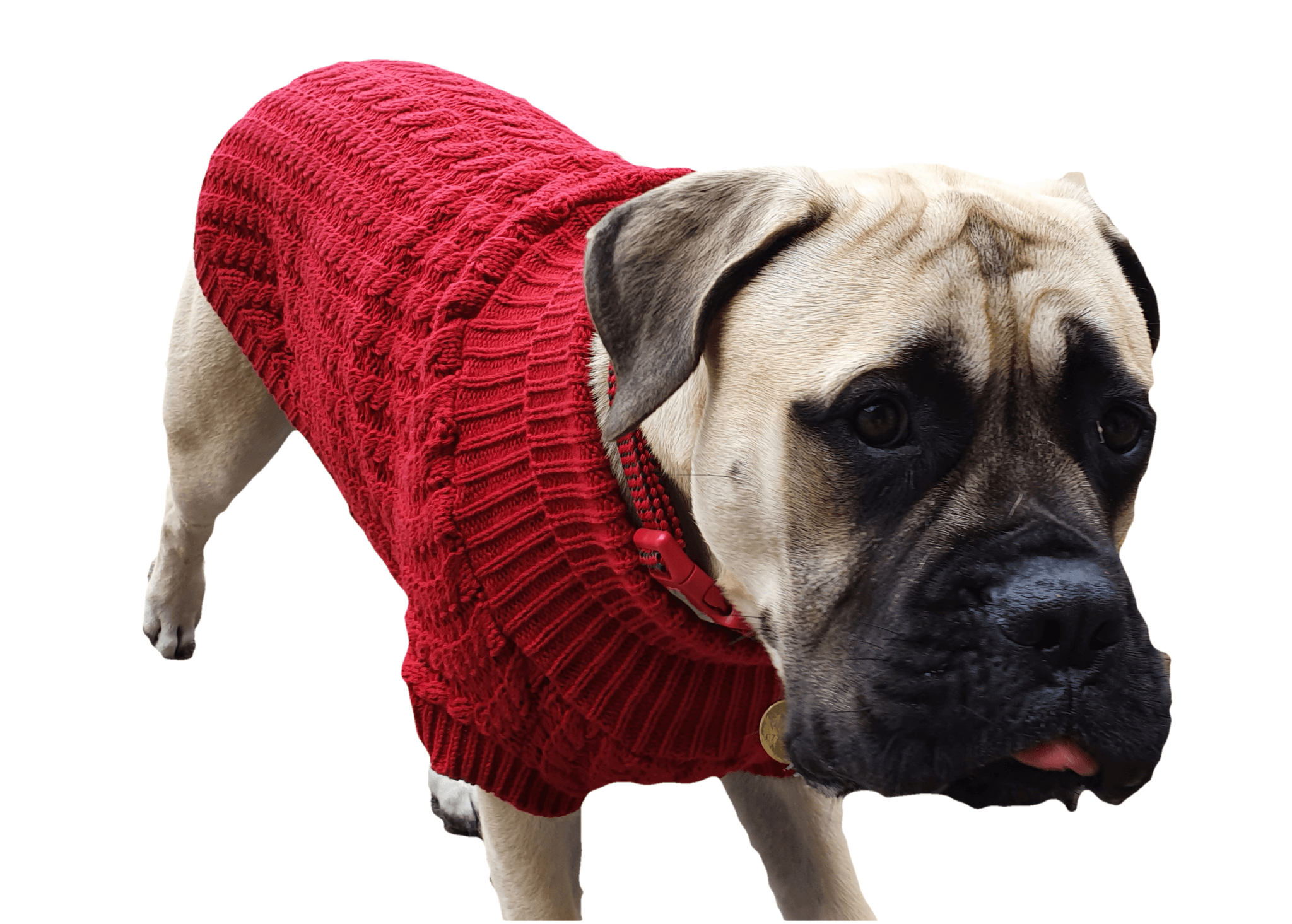 Red best sale dog sweater