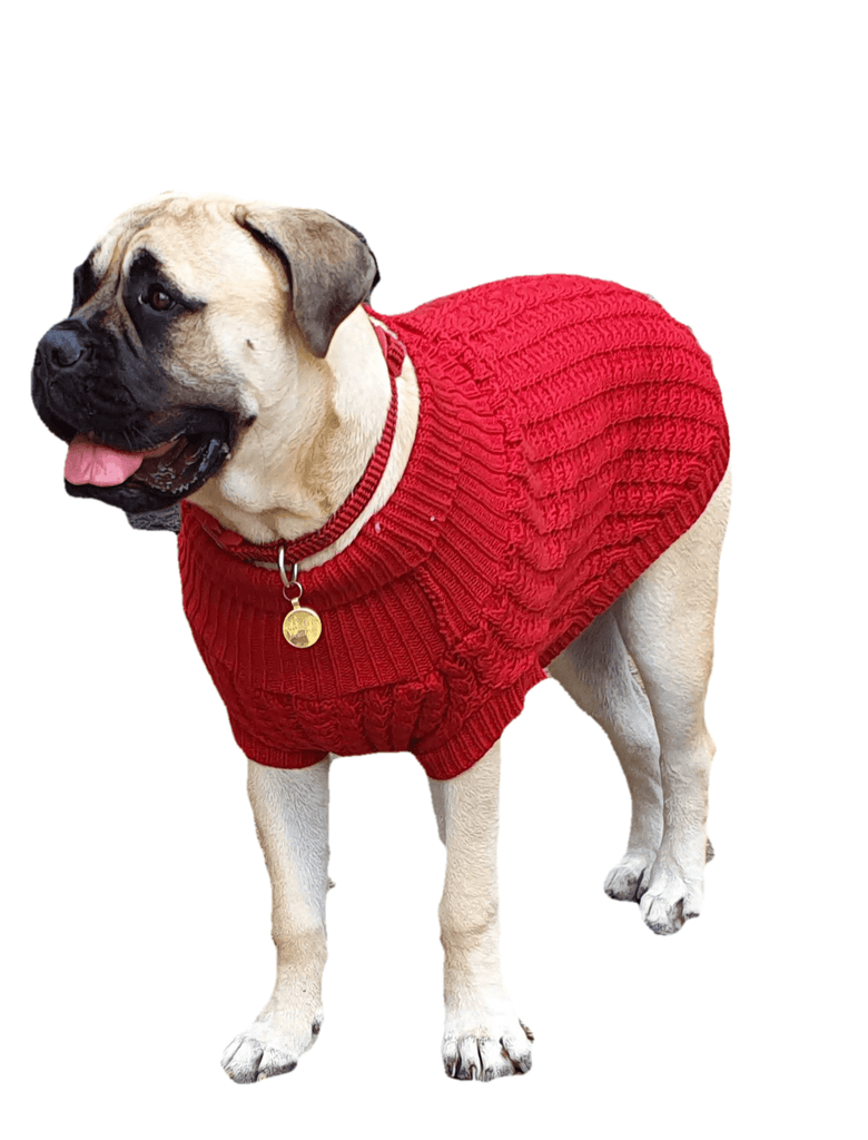 The Chunk Dog Jumper in Red - Canine-and-Co-Dog-Jumpers