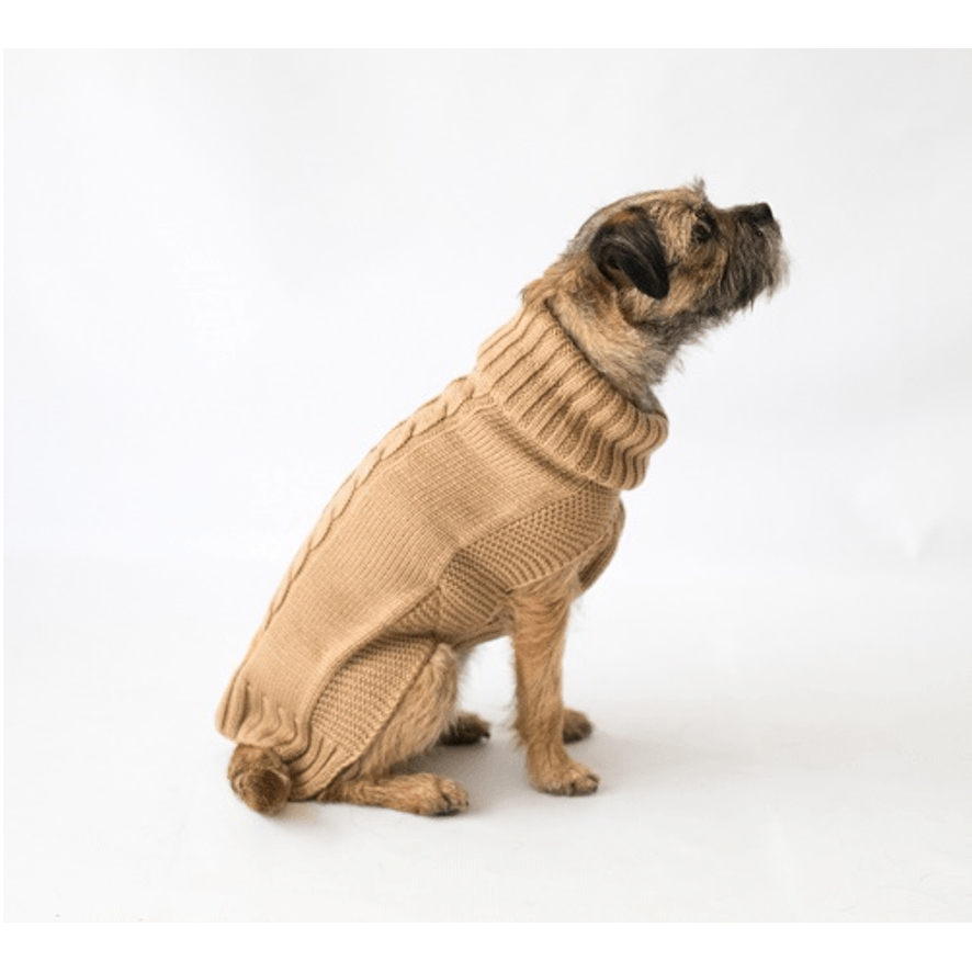 Pug jumpers online for dogs